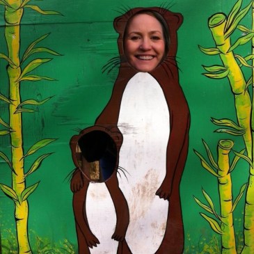 Toddlers Tantrums Mum life